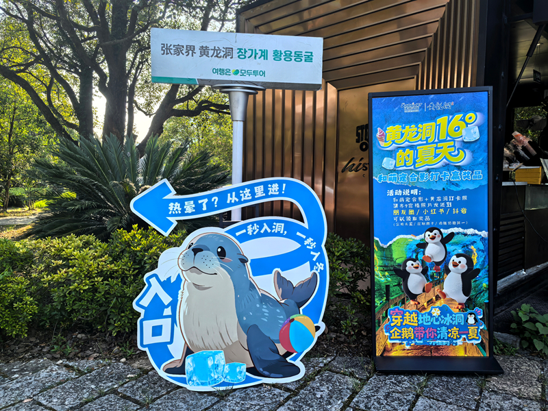 企鵝、海獅、水豚“凍”感亮相！黃龍洞景區(qū)“萌寵避暑季”將于7月18日正式開啟
