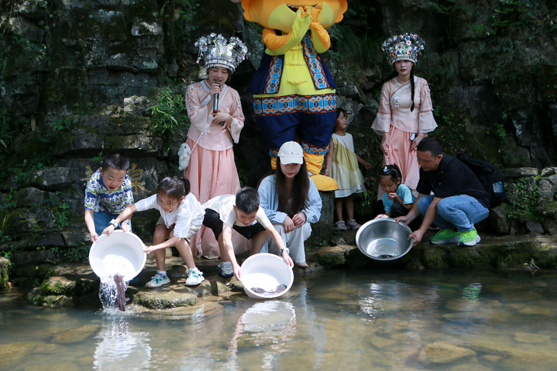 人工增殖放流百余尾幼苗，張家界黃龍洞“大鯢家園”再添新丁